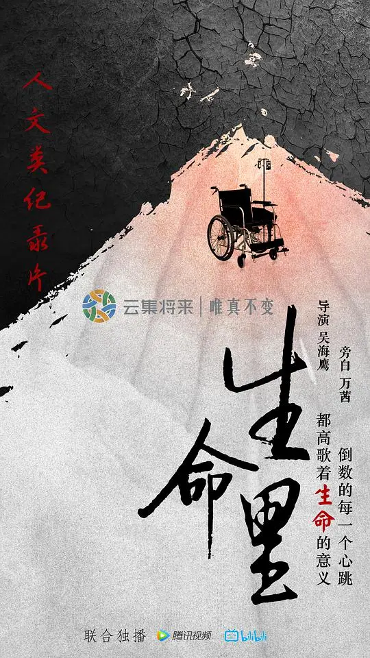 《生命里》：在微光中寻找永恒，一场关于生命的诗意旅程