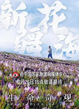 《生命奇观》：一场震撼心灵的自然史诗，探索地球生命的奥秘与演化