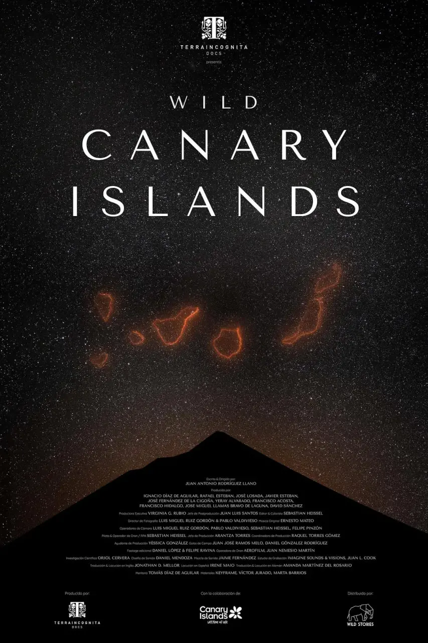 《加那利群岛》：迷失在疗愈之旅中的破碎心灵，一场关于救赎与和解的深情告白